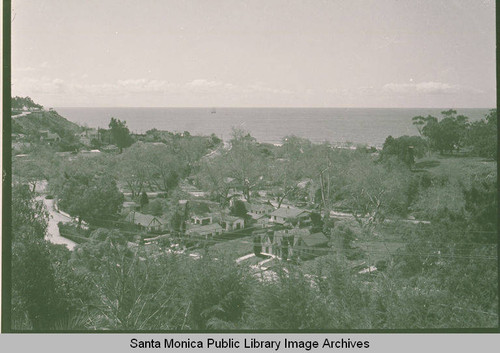 Santa Monica Canyon looking toward the Pacific Ocean showing sycamore trees along Sycamore Road