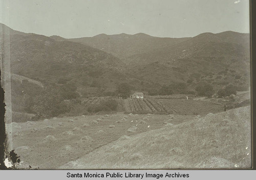 House and haystacks in open fields in Las Pulgas Canyon, Calif
