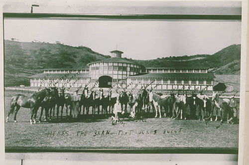 Horses lined up in front of the Main Stables at Will Rogers Ranch in Rustic Canyon