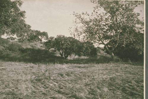 Open field in Temescal Canyon, Calif