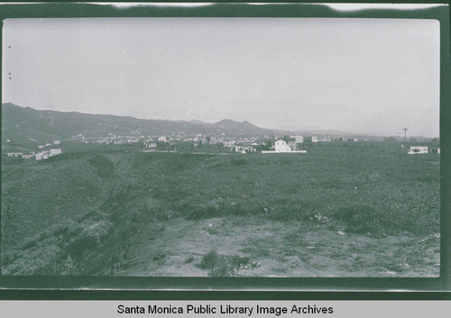 Field dotted with houses near Haverford Avenue and Radcliffe Avenue in Pacific Palisades, Calif