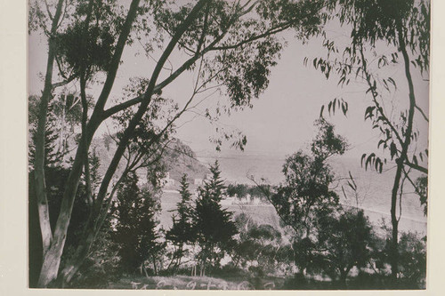 View from the Huntington Palisades looking toward Santa Monica Canyon