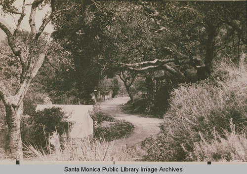 Oak tree and tent along the trail at Assembly Camp, Temescal Canyon, Calif