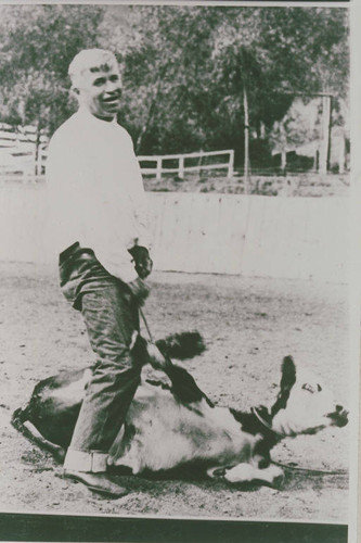 Will Rogers roping a steer at his ranch, Rustic Canyon, Calif