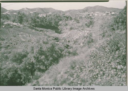 Site of the grading for Pacific Palisades High School in Temescal Canyon, Calif