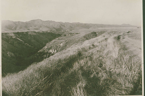 View of Las Pulgas Canyon, Calif