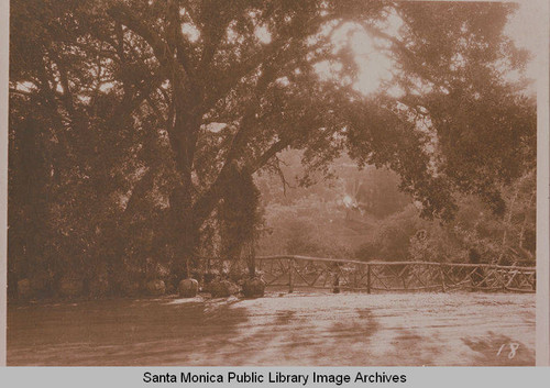 Assembly Camp showing an oak tree and nursery in Temescal Canyon, Calif