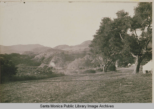 Pacific Palisades Founder's Oak Island in Temescal Canyon, Calif