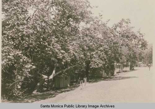 Assembly Camp in Temescal Canyon, Calif