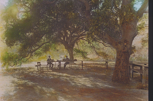 Two men sitting at a table under large oak trees in Temescal Canyon, Calif