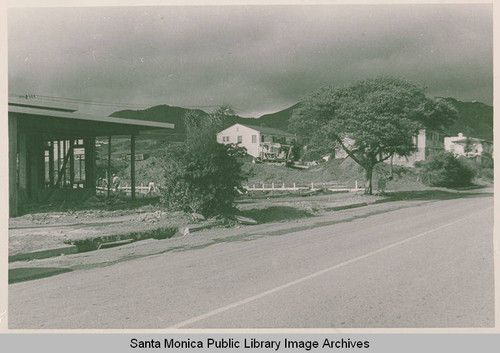 View of houses on a Pacific Palisades street