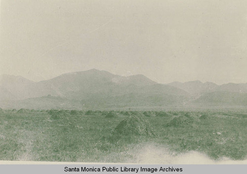 Haystacks and open fields on the site of downtown Pacific Palisades