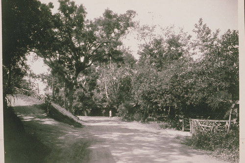 A path in Temescal Canyon, Calif