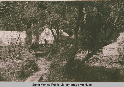 Riparian camp scene showing tents at the Institute Camp hidden by oaks and ferns in Temescal Canyon