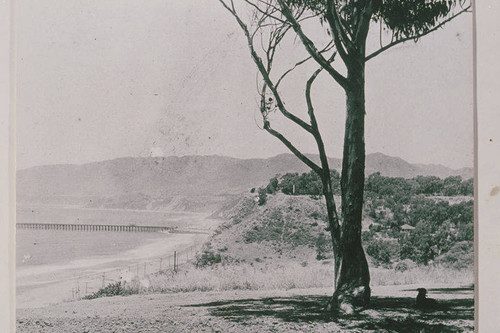 View of the Long Wharf from Inspiration Point in Santa Monica