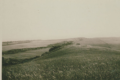 View of Las Pulgas Canyon, Calif