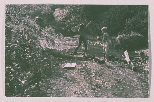 Boys playing by a creek in Rustic Canyon, Calif