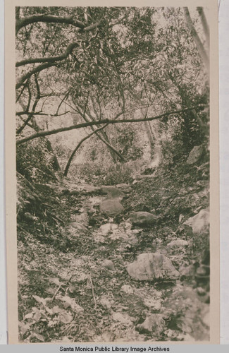 Dried stream bed in Temescal Canyon, Pacific Palisades, Calif