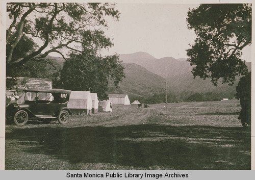 Looking north from Founder's Oak with tents pitched beneath the oaks and early model cars