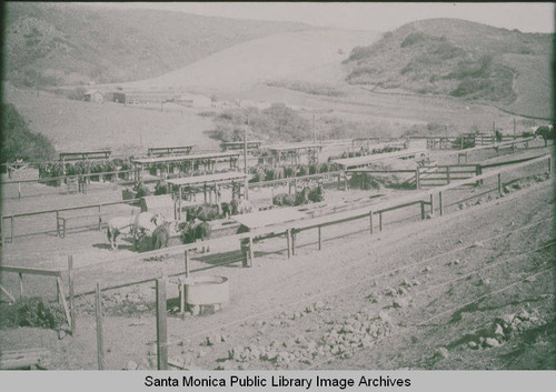 Mule Camp in Temescal Canyon, Calif