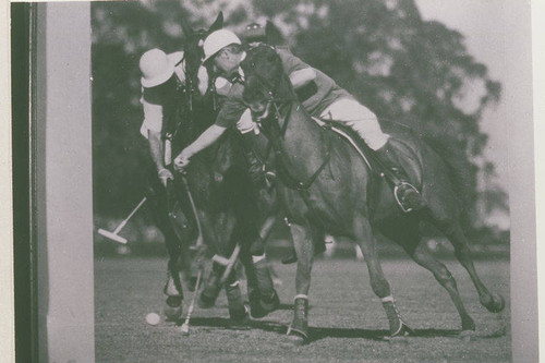 Will Rogers playing polo at his ranch, Rustic Canyon, Calif