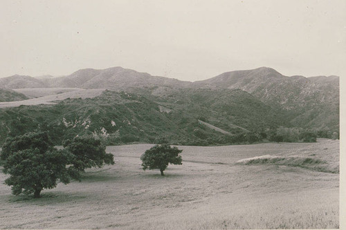 Founders Oak Island in Pacific Palisades, Calif