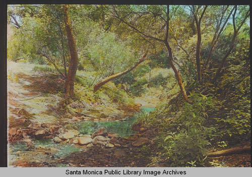 Creek in Temescal Canyon, Calif