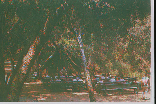 Picnic tables in Temescal Canyon, Calif