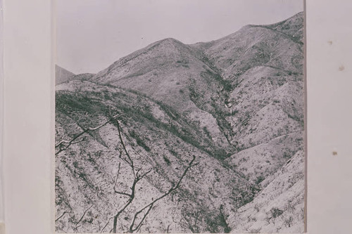 Rustic Canyon burned out by a wild fire