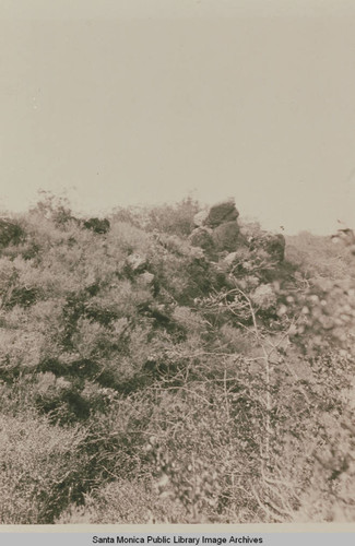 Bear Rock in Temescal Canyon, Pacific Palisades, Calif