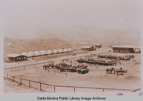 Clarence P. Day Grading Camp showing teams of mules lined up for work on the Assembly Camp, Temescal Canyon, Pacific Palisades, Calif