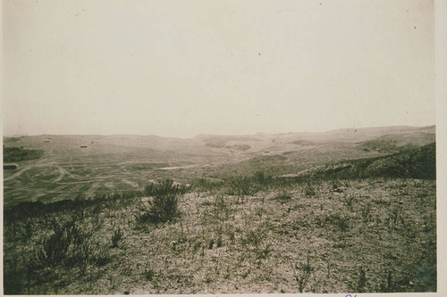 Field in Temescal Canyon, Calif