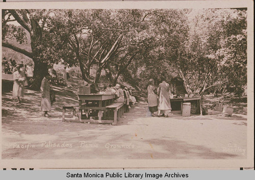 Picnic grounds at the Assembly Camp framed by oaks, sycamore, and eucalyptus trees, Temescal Canyon, Pacific Palisades, Calif