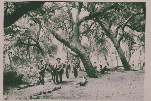 Boy Scouts at Camp Josepho in Rustic Canyon, Calif