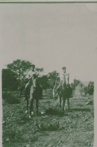 Marquez Family boys on horseback