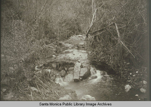 Creek in Temescal Canyon, Calif