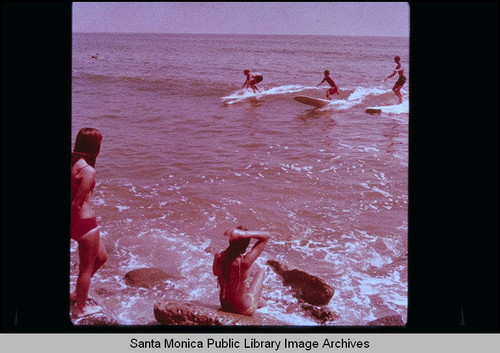 Surfing in Santa Monica Bay