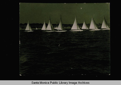 Yachts in the Santa Monica Yacht Harbor