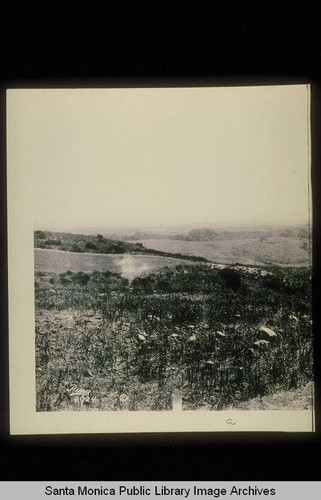 East of Santa Monica Canyon panorama