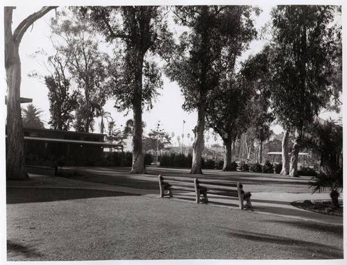 Palisades Park, Santa Monica, Calif