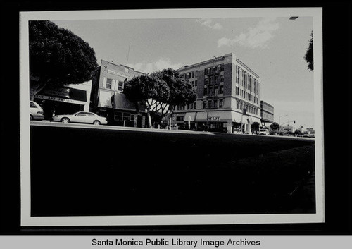 One Life Natural Foods Market, 3001 Main Street, Santa Monica, February 22, 1996