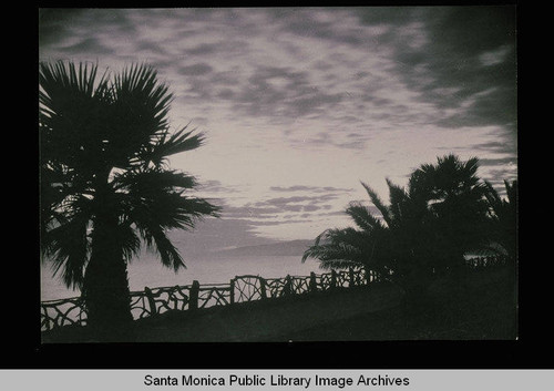 Moonlight with palms on palisades, Santa Monica, Calif