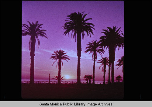 Palisades Park at sunset, Santa Monica, Calif