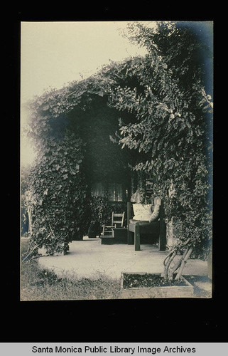 Vine-covered house in Topanga Canyon, Calif