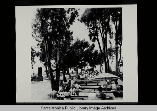 Palisades Park Picnic Area, Santa Monica, Calif. on July 17, 1955