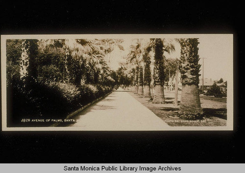 Avenue of the Palms in Santa Monica, Calif