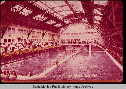 Plunge in Ocean Park, Calif