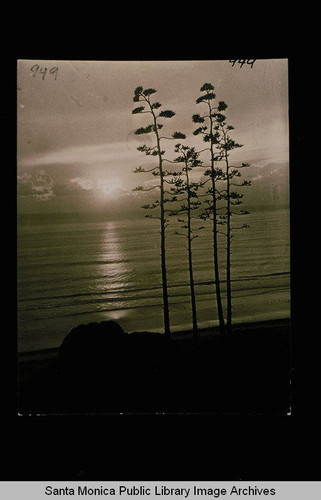 Sunset on Santa Monica Bay from Palisades Park