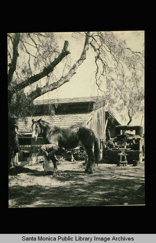 Horse and truck on the Whitaker Ranch, Centinela Avenue, Los Angeles, Calif