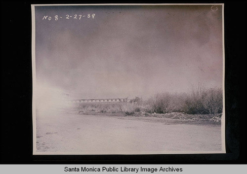 Weeds near the brickyards of Simons Brick Company, Santa Monica, Calif., on February 27, 1939